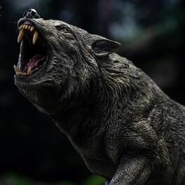 PopMarket - Wonders of the Wild Series - Dire Wolf Statue - COLLECTIBLES - Multicolor