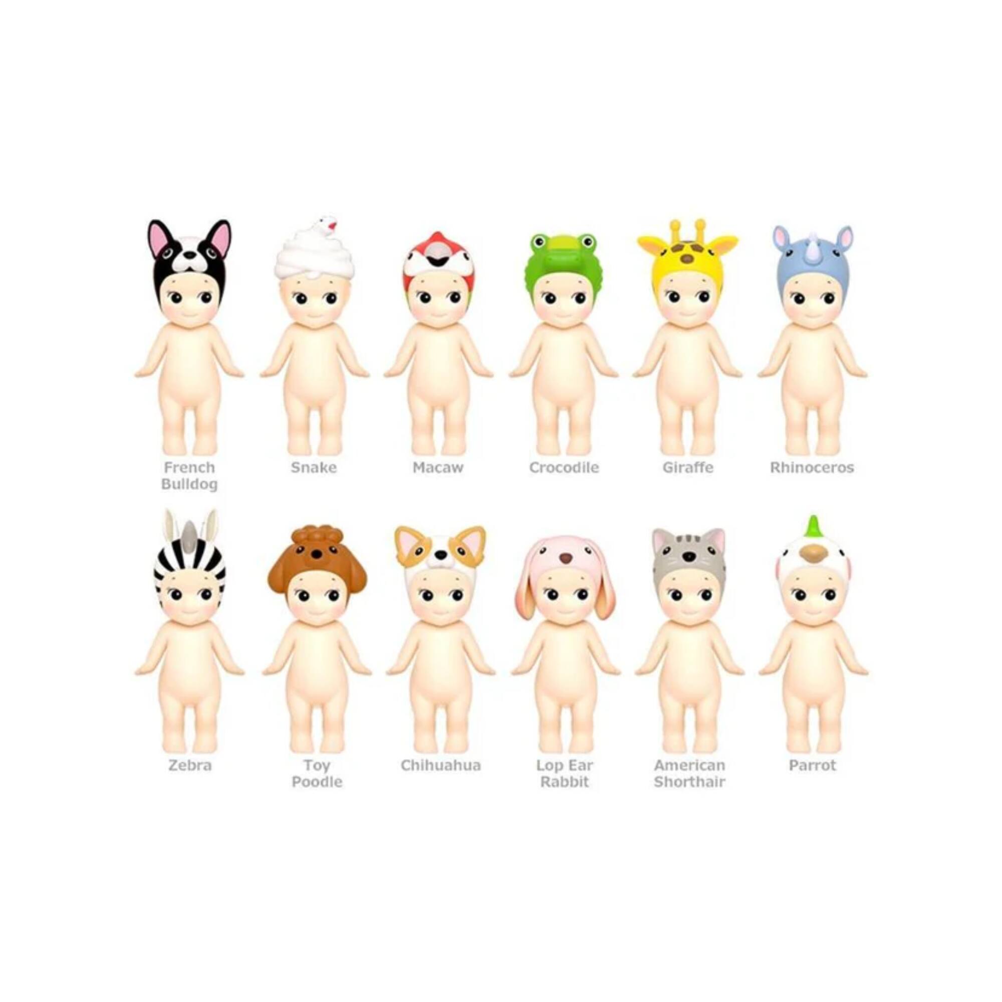 French Bulldog  
Snake  
Macaw  
Crocodile  
Giraffe  
Rhinoceros  
Zebra  
Toy Poodle  
Chihuahua  
Lop Ear Rabbit  
American Shorthair  
Parrot