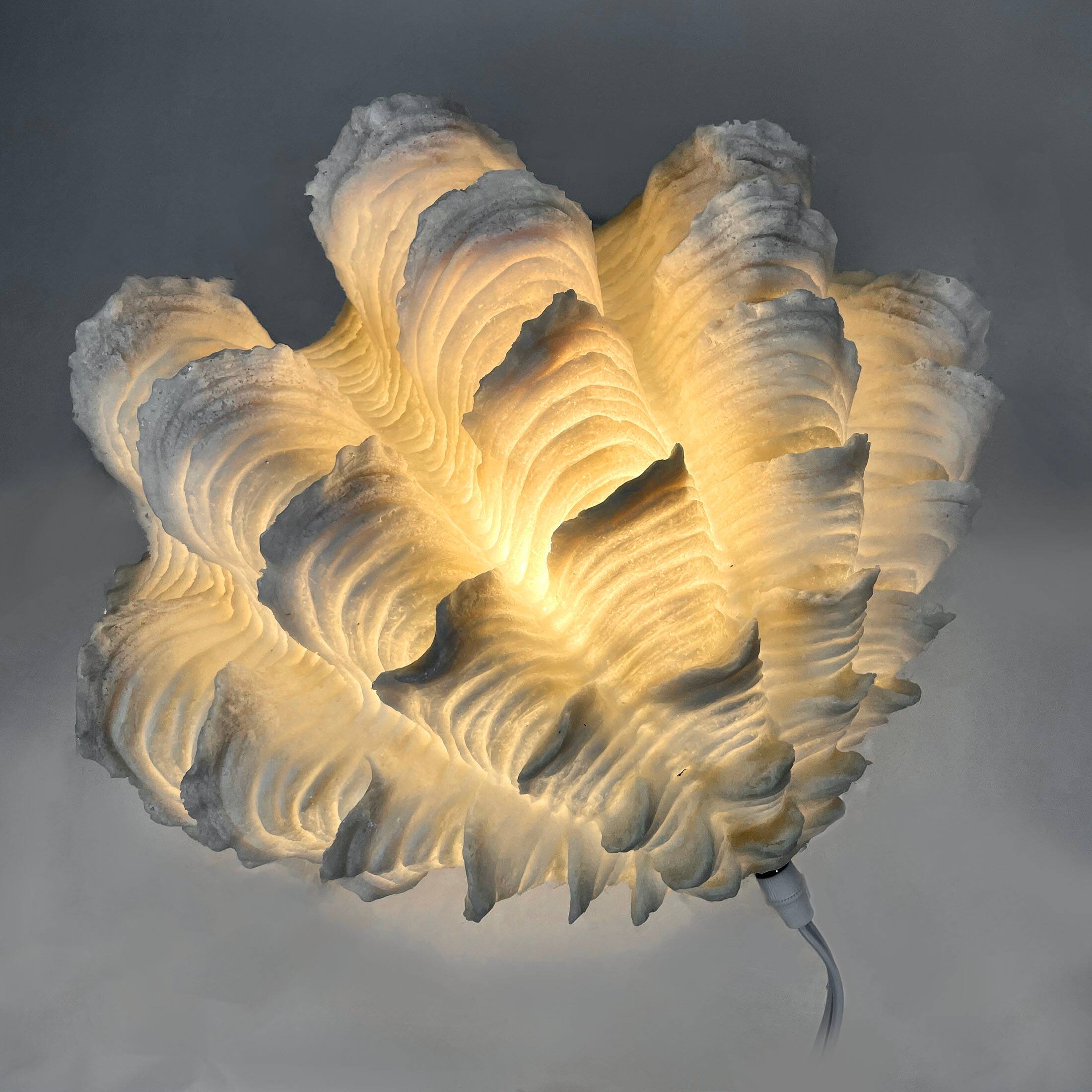 Alt View 9. Contrast Inc. - Squamosa Clam Accent Lamp Resin Shell Table Light 13" White Coastal Décor - White.