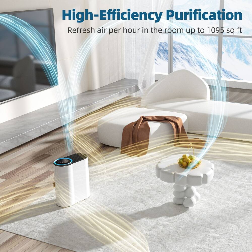 High-Efficiency Purification  
Refresh air per hour in the room up to 1095 sq ft