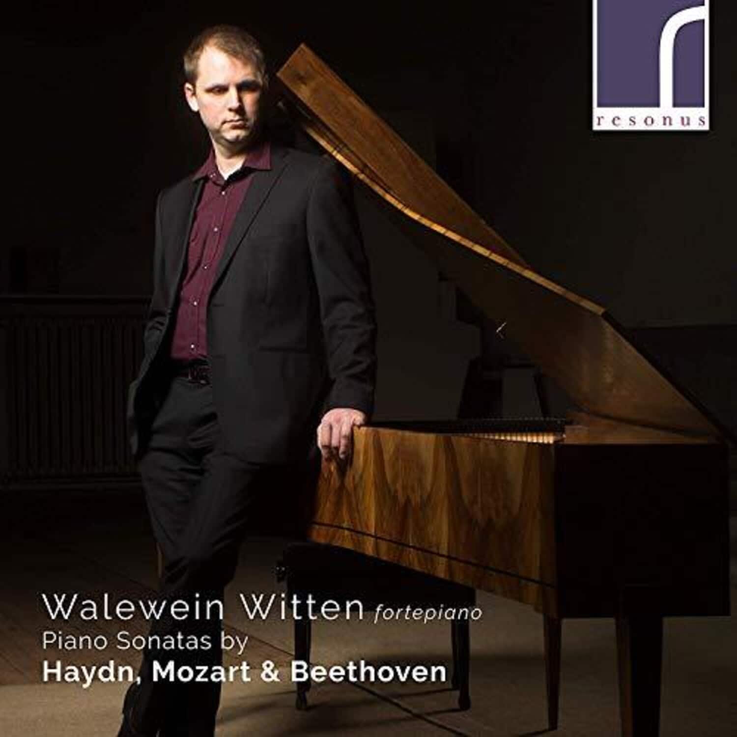 Beethoven / Witten - Piano Sonatas   - COMPACT DISCS [CD] price history on PriceWatchPro