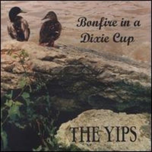 Bonfire in a Dixie Cup [LP] - VINYL