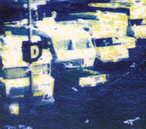 

Serial Hodgepodge [LP] - VINYL