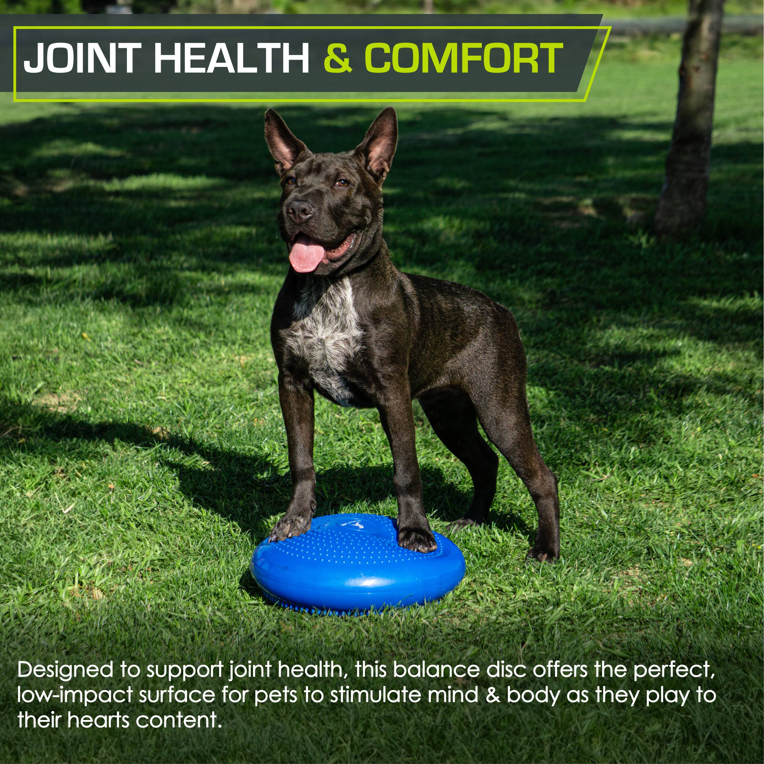 JOINT HEALTH & COMFORT

A Designed to support joint health, this balance disc offers the perfect, low-impact surface for pets to stimulate mind & body as they play to their hearts content.