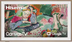 Hisense Canvas TV
Google TV