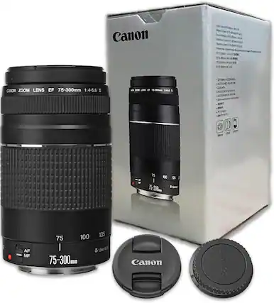 Canon Zoom Lens EF 75-300mm 1:4-5.6 III
75-300mm
AF MF
1.5m/4.9ft
Canon