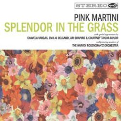 Splendor in the Grass [LP] - VINYL
