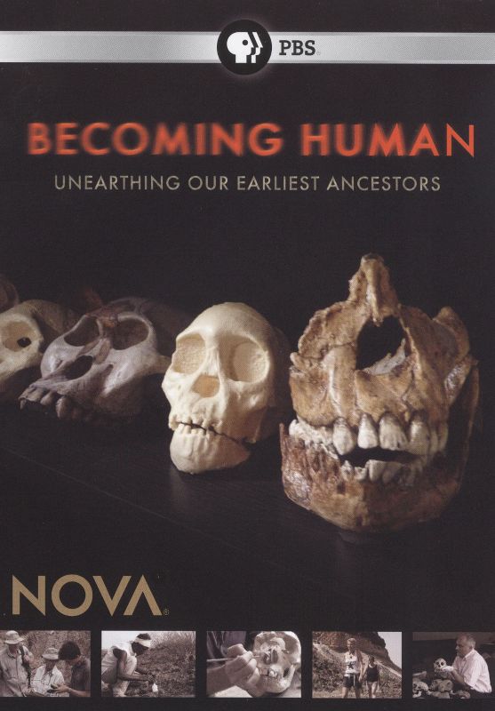 NOVA: Becoming Human [DVD]