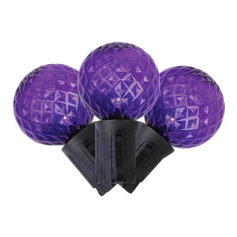 Front. Celebrations - Purple 25 ct LED G40 Halloween String Lights - Purple.