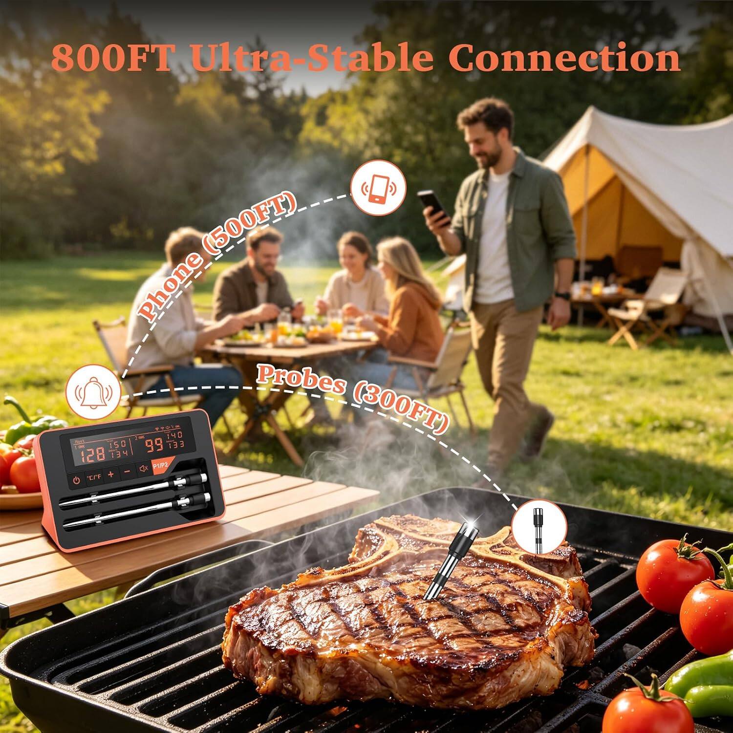 800FT Ultra-Stable Connection  
(500FT) Phone Probes 150 2.8K 99 STOR 140 133 (300FT) 128 134 P1P2 - E/F +