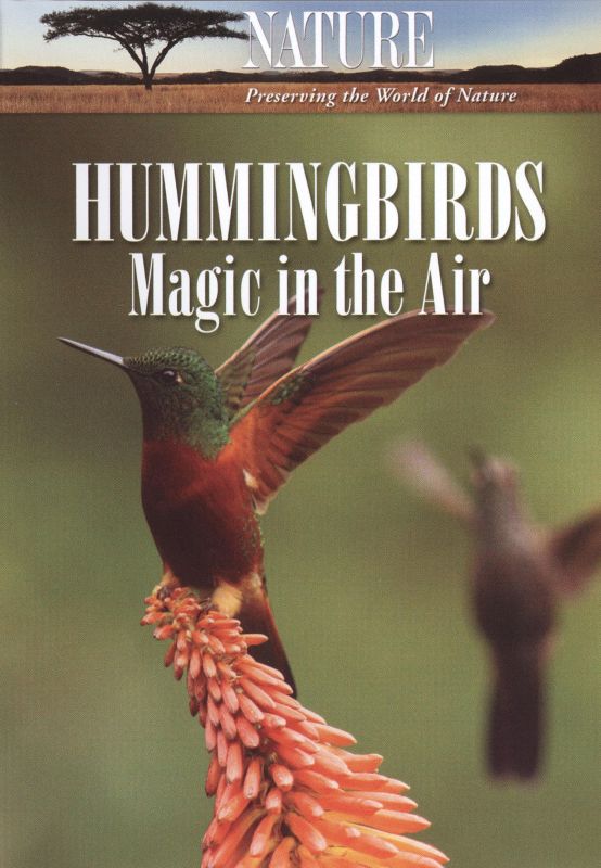  Nature: Hummingbirds - Magic in the Air [DVD] [2010]