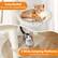 Cozy Basket
Give your cat a wrapped feeling
12"
3 Wide Jumping Platforms
For playing and resting