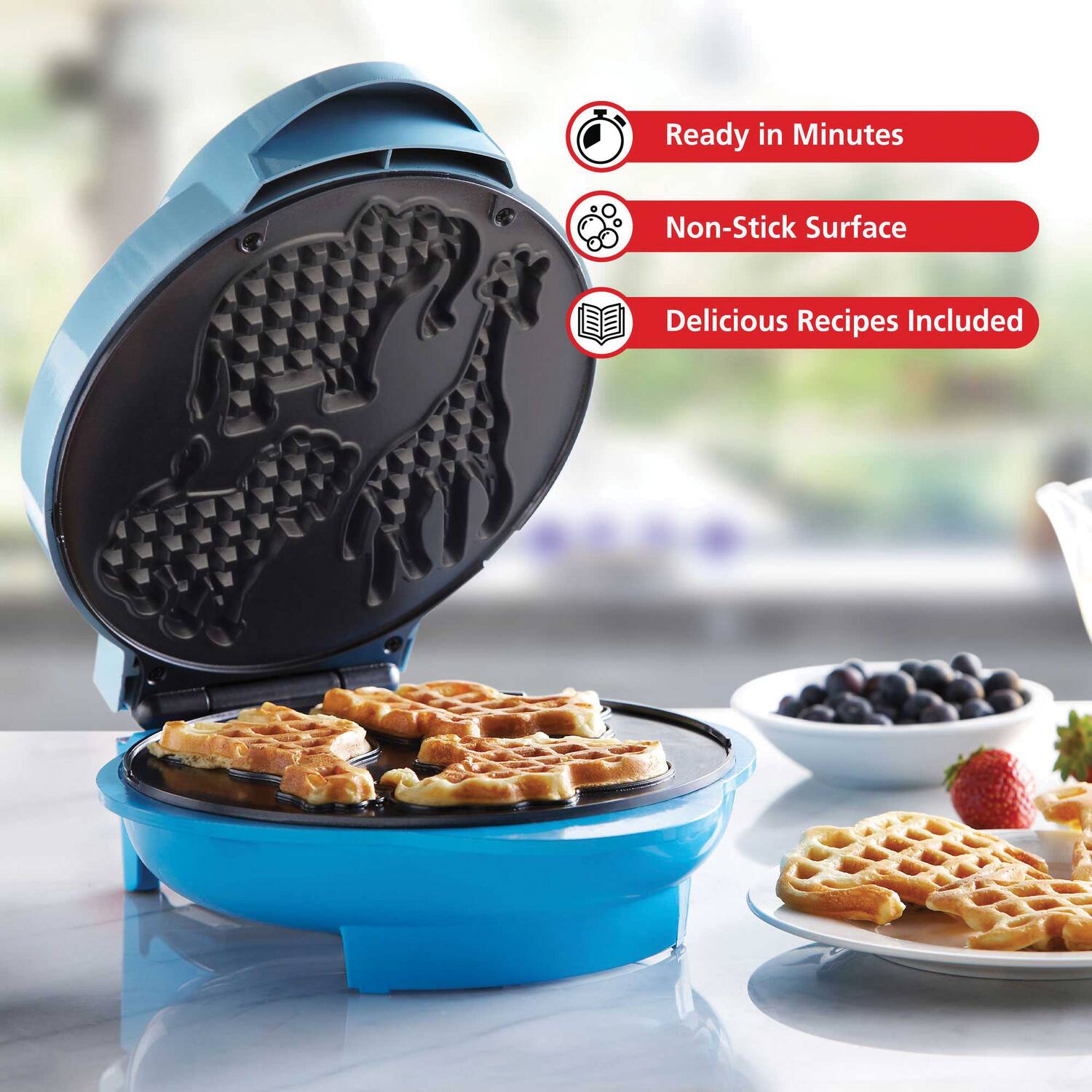 Ready in Minutes  
Non-Stick Surface  
Delicious Recipes Included
