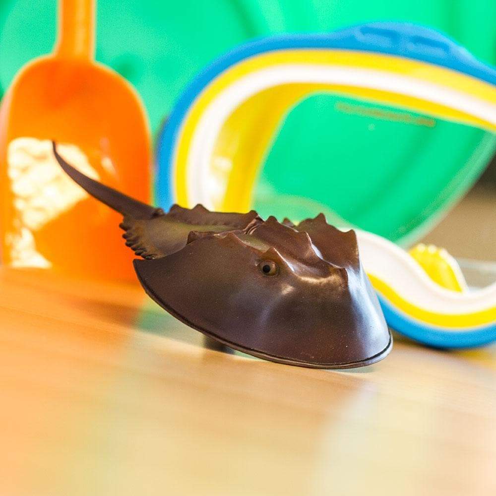 Angle. Safari Ltd. - Horseshoe Crab Toy Figurine.