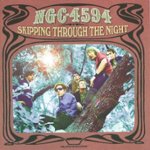 Front Standard. Skipping Through the Night [CD].