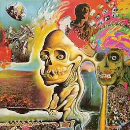 The Flaming Lips - Oh My Gawd ..... The Flaming Lips - VINYL LP