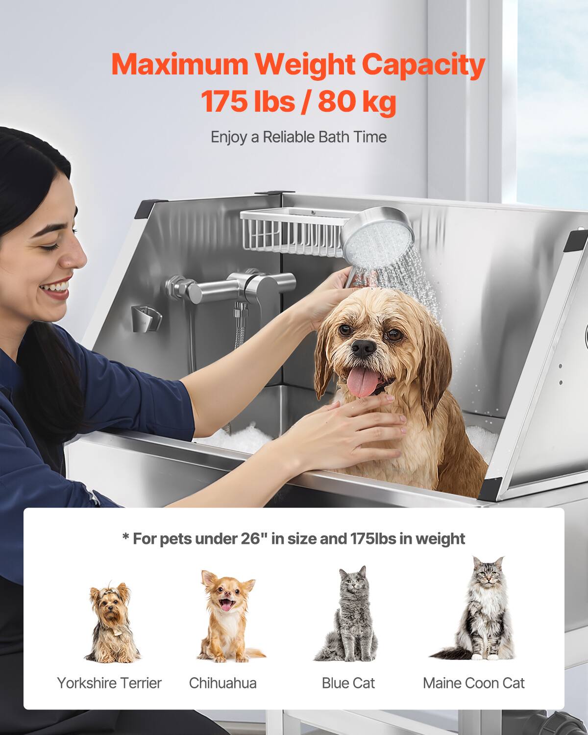 Maximum Weight Capacity  
175 lbs / 80 kg  

Enjoy a Reliable Bath Time  

*For pets under 26" in size and 175 lbs in weight  

Yorkshire Terrier  
Chihuahua  
Blue Cat  
Maine Coon Cat