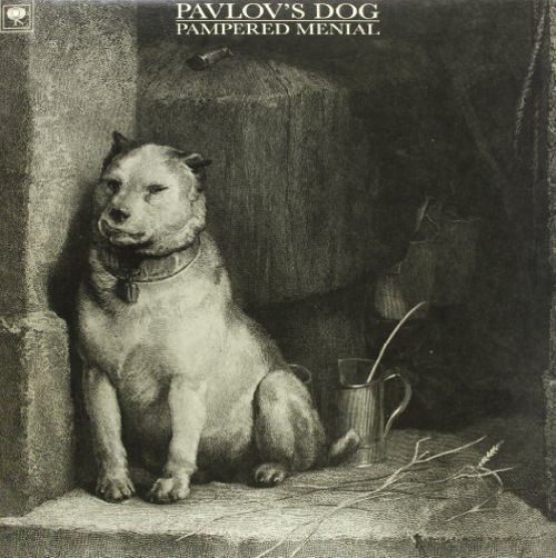 Pampered Menial [LP] - VINYL