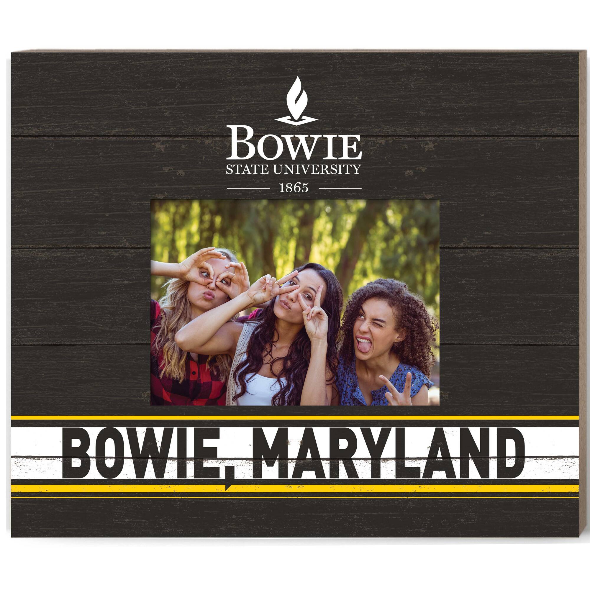 Jardine - Bowie State Bulldogs 11'' x 13'' Team Spirit Picture Frame - Yellow price history on PriceWatchPro