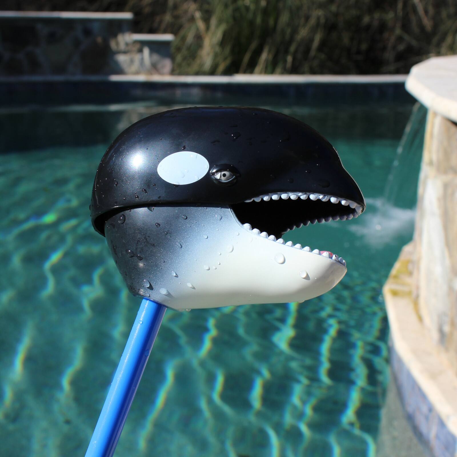 Back. Safari Ltd. - Snapper Killer Whale Toy.