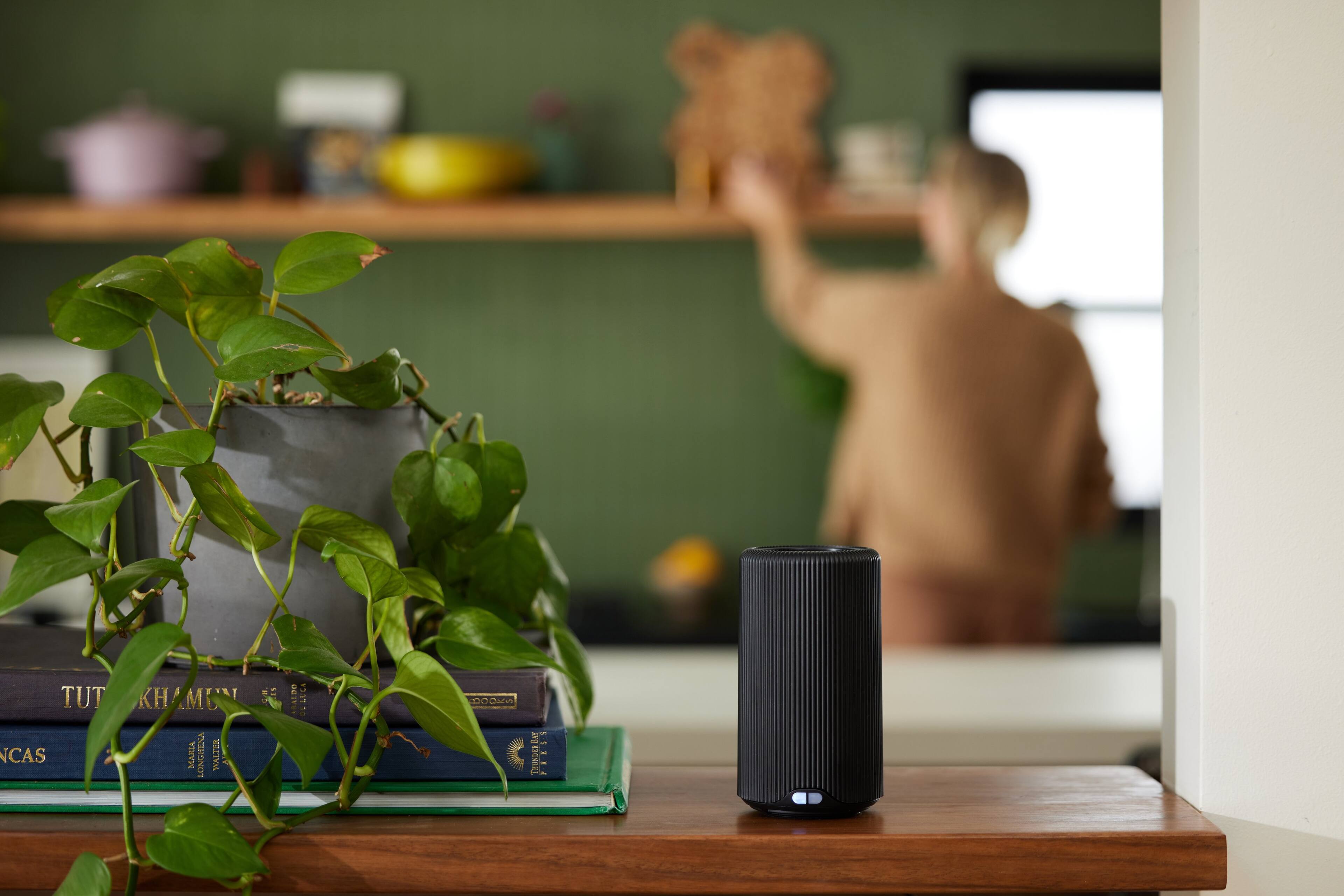 The text on the image reads: "TUT KHAMUN KHAN: NCAS VVP LONGHENA SITA."