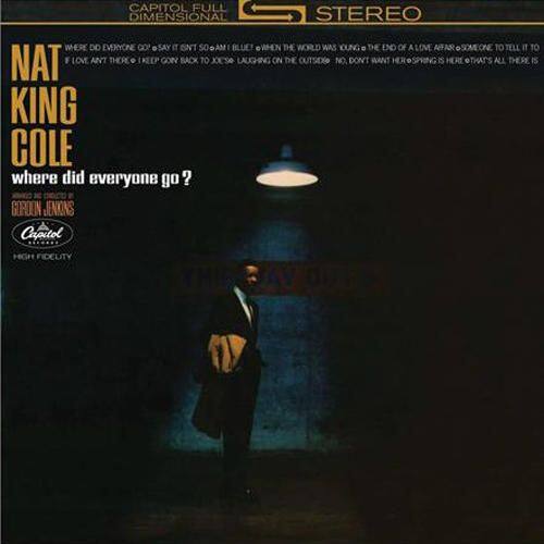 

Where Did Everyone Go [LP] - VINYL