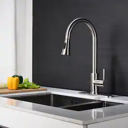 Kitchen Faucet with Pull Out Spraye