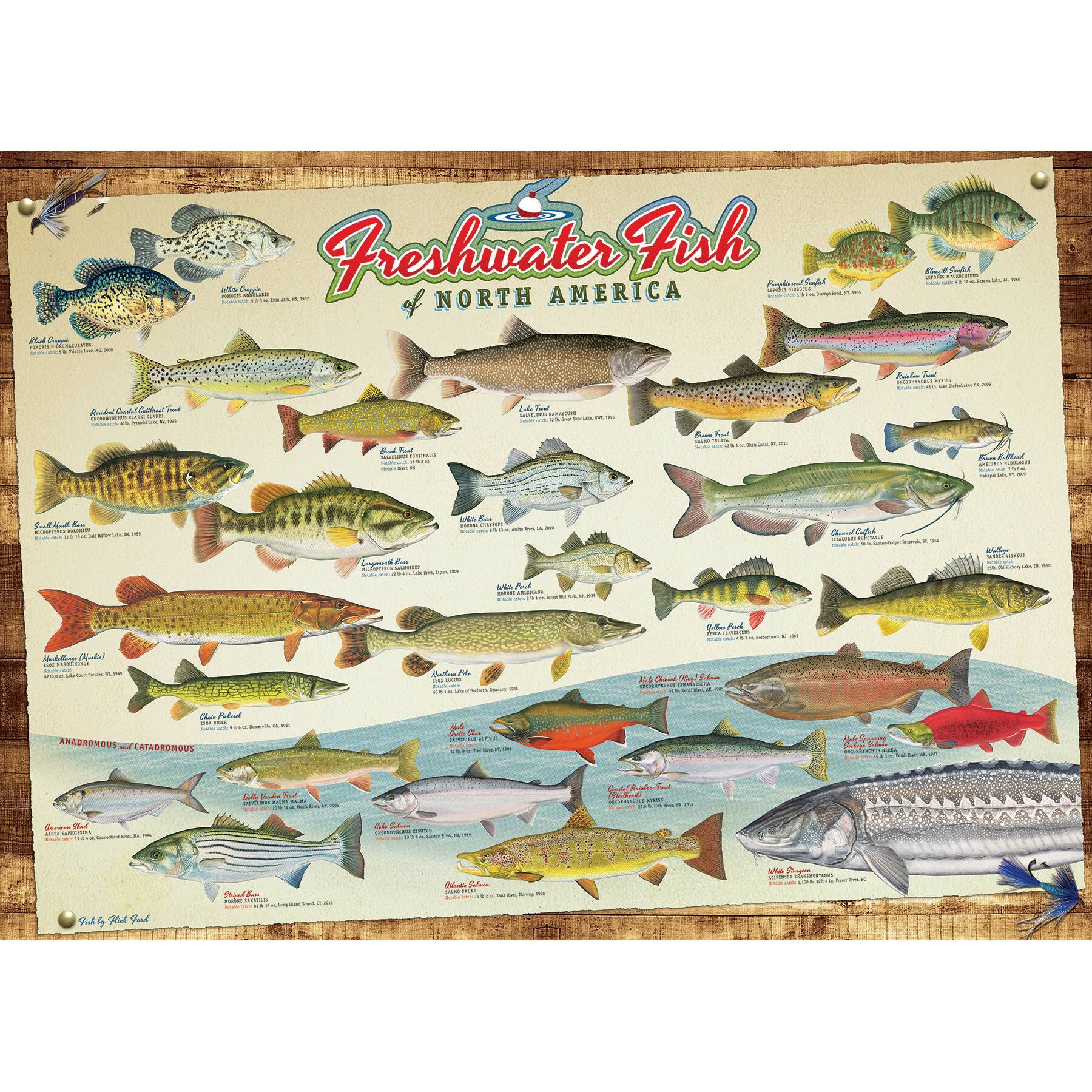 I - Freshwater Fish of North America - . . . . . . . . . . . . . . . . . . . . . . . . . . . . . . . . . . . . . . . . . . . . . . . . . . . . . . . . . . . . . . . . . . . . . . . . . . . . . . . . . . . . . . . . . . . . . . . . . . . . . . . . . . . . . . . . . . . . . . . . . . . . . . . . . . . . . . . . . . . . . . . . . . . . . . . . . . . . . . . . . . . . . . . . . . . . . . . . . . . . . . . . . . . . . . . . . . . . . . . . . . . . . . . . . . . . . . . . . . . . . . . . . . . . . . . . . . . . . . . . . . . . . . . . . . . . . . . . . . . . . . . . . . . . . . . . . . . . . . . . . . . . . . . . . . . . . . . . . . . . . . . . . . . . . . . . . . . . . . . . . . . . . . . . . . . . . . . . . . . . . . . . . . . . . . . . . . . . . . . . . . . . . . . . . . . . . . . . . . . . . . . . . . . . . . . . . . . . . . . . . . . . . . . . . . . . . . . . . . . . . . . . . . . . . . . . . . . . . . . . . . . . . . . . . . . . . . . . . . . . . . . . . . . . . . . . . . . . . . . . . . . . . . . . . . . . . . . . . . . . . .