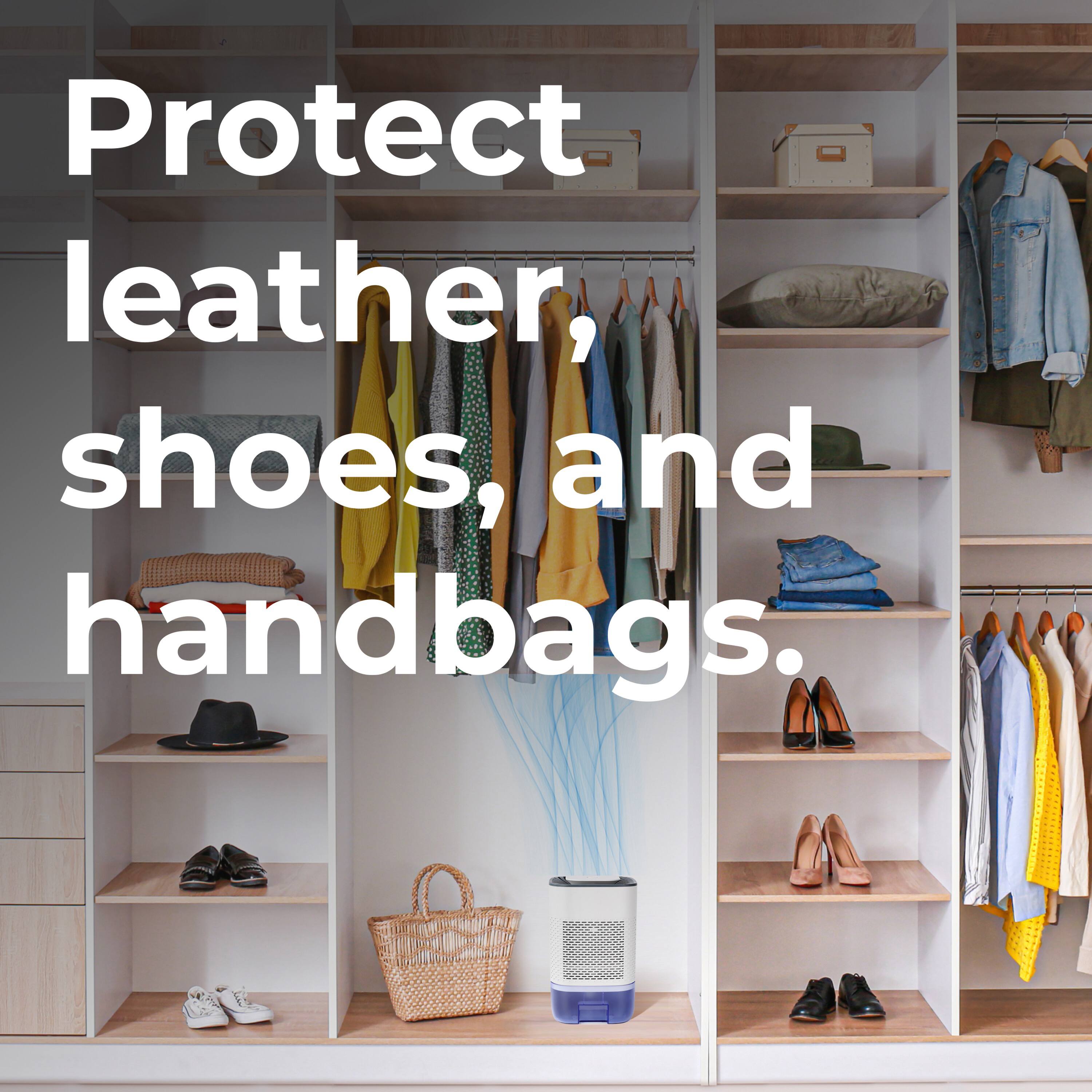 Protect leather, shoes, and handbags.