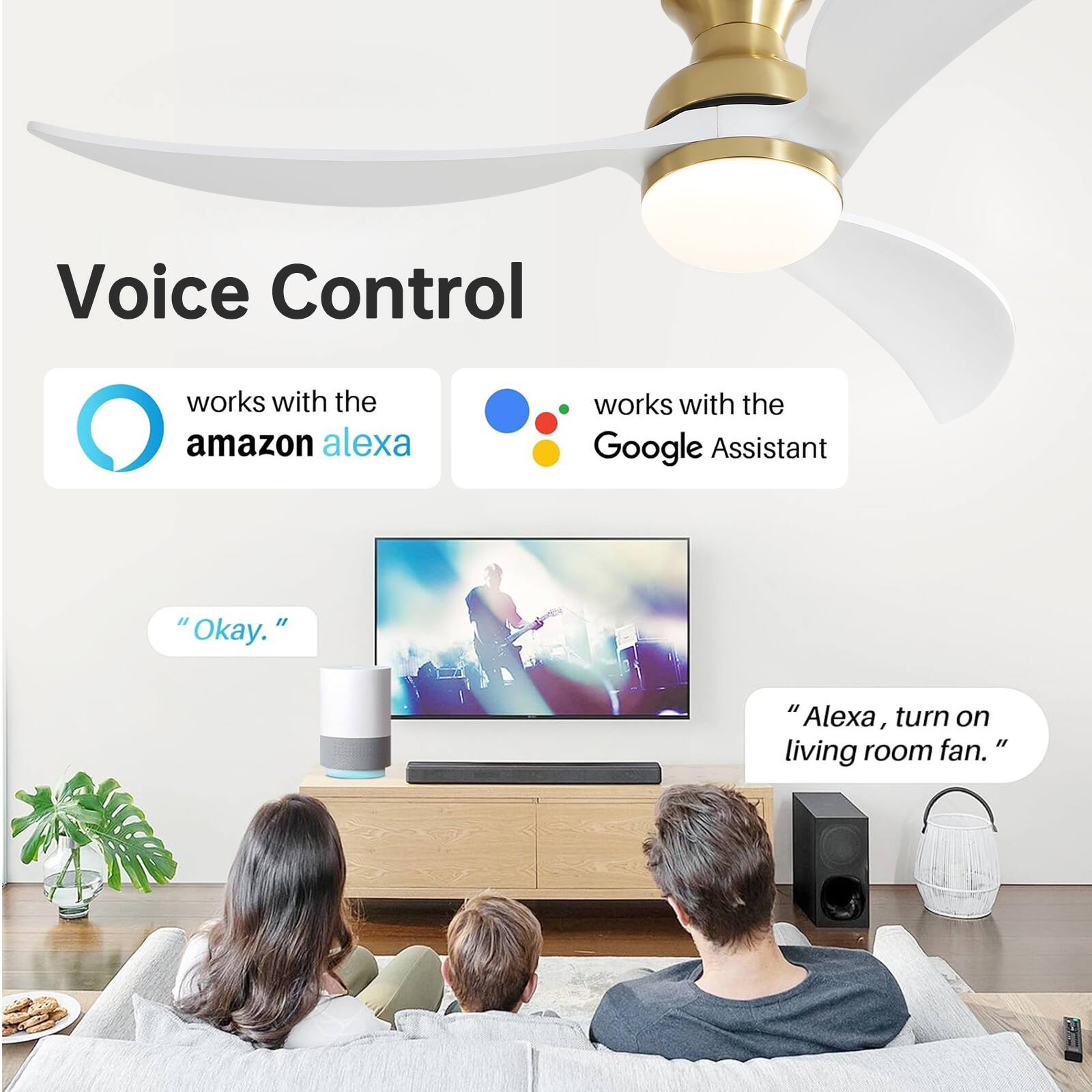 Voice Control works with the Amazon Alexa and Google Assistant.

"Okay."

"Alexa, turn on living room fan."