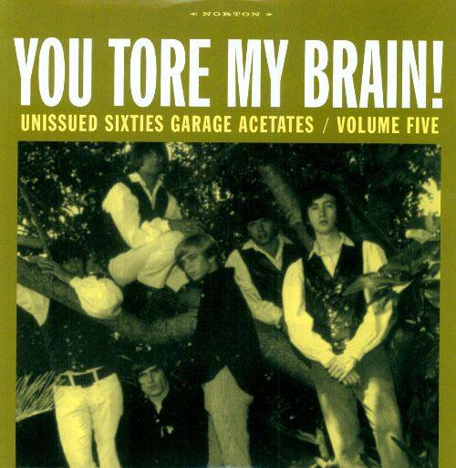 

You Tore My Brain Sixties Garage Acetates, Vol. 5 [LP] - VINYL