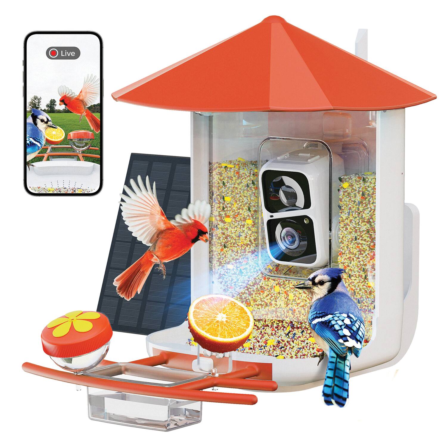 Alt View 7. PerchMe - AI-Recognition Smart Bird Feeder with Camera, Solar-Powered - Vermilion Canopy.