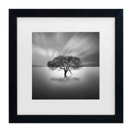Trademark Fine Art - Moises Levy 'Water Tree VIII' Matted Framed Art - Multicolor
