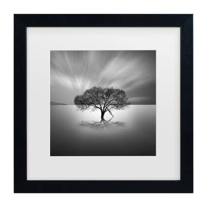 Front. Trademark Fine Art - Moises Levy 'Water Tree VIII' Matted Framed Art - Multicolor.