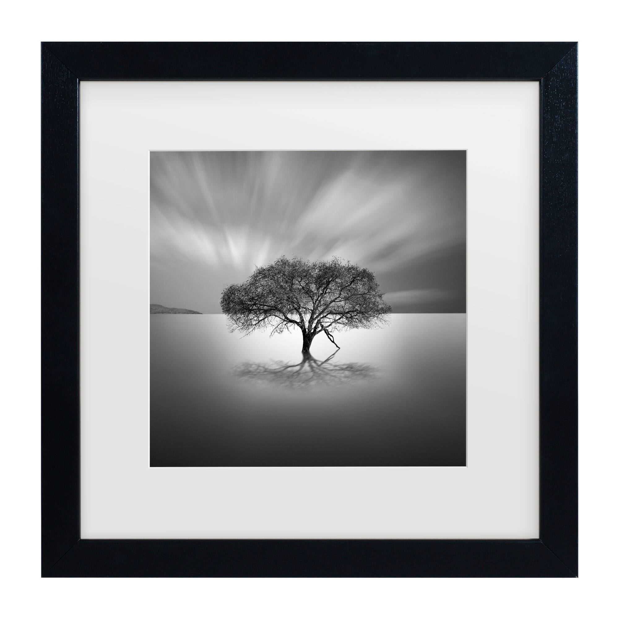 Front. Trademark Fine Art - Moises Levy 'Water Tree VIII' Matted Framed Art - Multicolor.