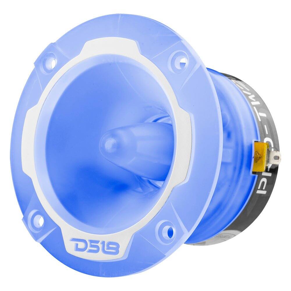 D519