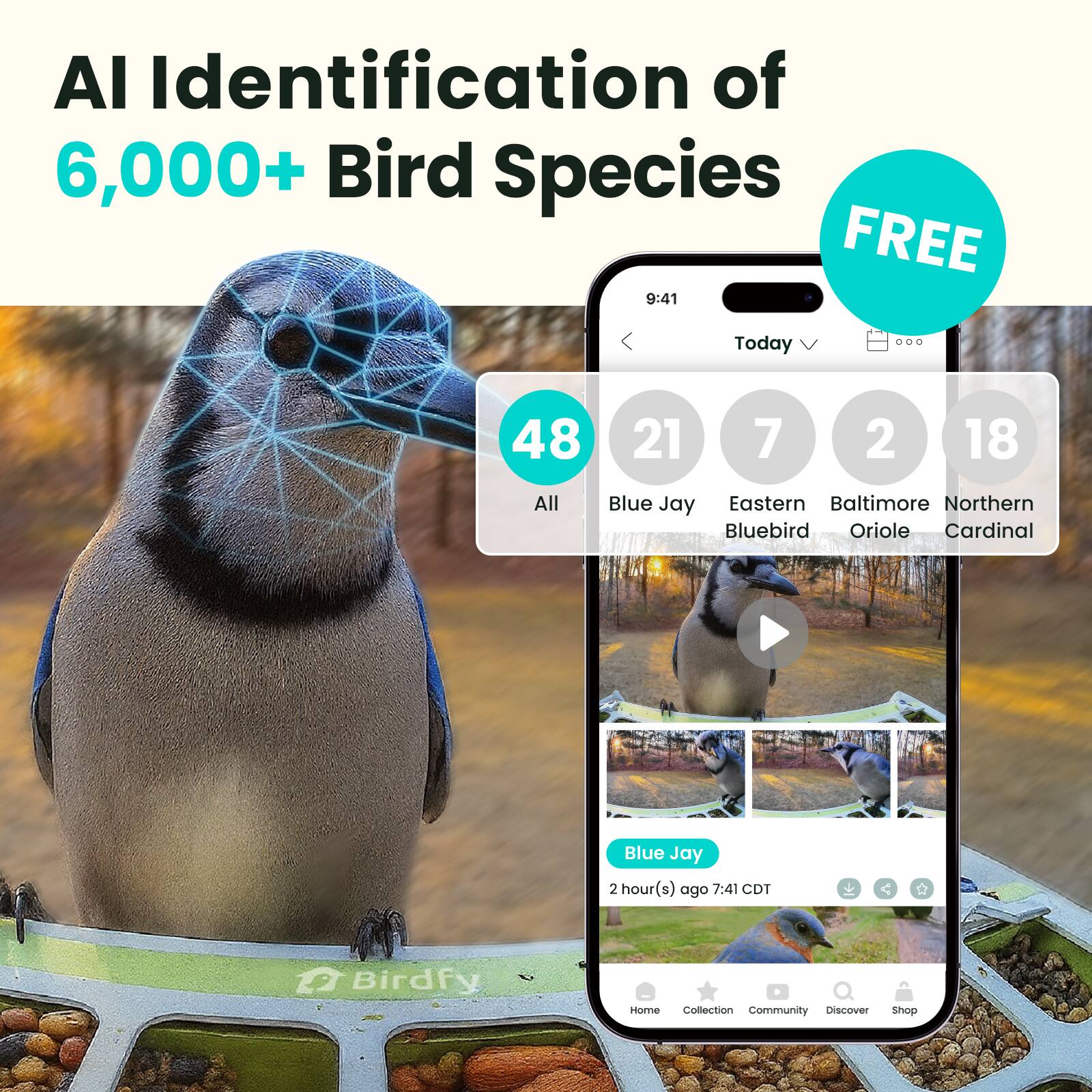AI Identification of 6,000+ Bird Species  
FREE  

9:41  
Today  

48  
21  
7  
2  
18  

All  
Blue Jay  
Eastern Bluebird  
Baltimore Oriole  
Northern Cardinal  

Blue Jay  
2 hour(s) ago 7:41 CDT  

Birdfy  
Home  
Collection  
Community  
Discover  
Shop
