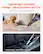 Lightweight Cordless Design – Ideal for Home and Car
Clean Your Home and Vehicle Anytime
≈ 2.2 lbs
Lightweight for Effortless Cleaning
< 75 dB
Low Noise for Quiet Working
Cordless Design – Clean Anytime, Anywhere
