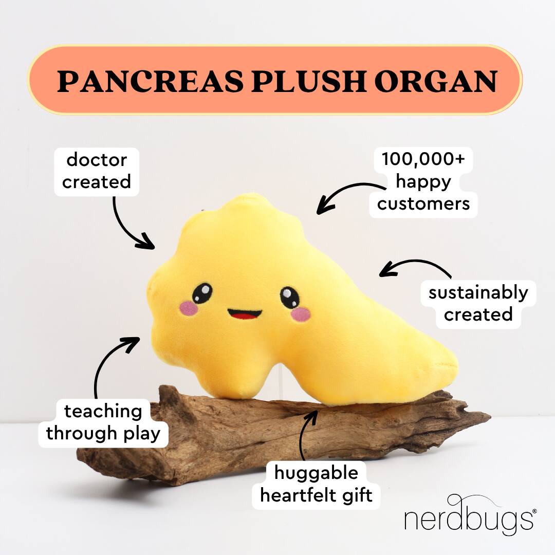PANCREAS PLUSH ORGAN

- doctor created
- teaching through play
- huggable heartfelt gift
- sustainably created
- 100,000+ happy customers

nerdbugs®