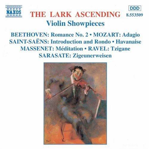 Various Artists - Lark Ascending / Various   - COMPACT DISCS [CD]