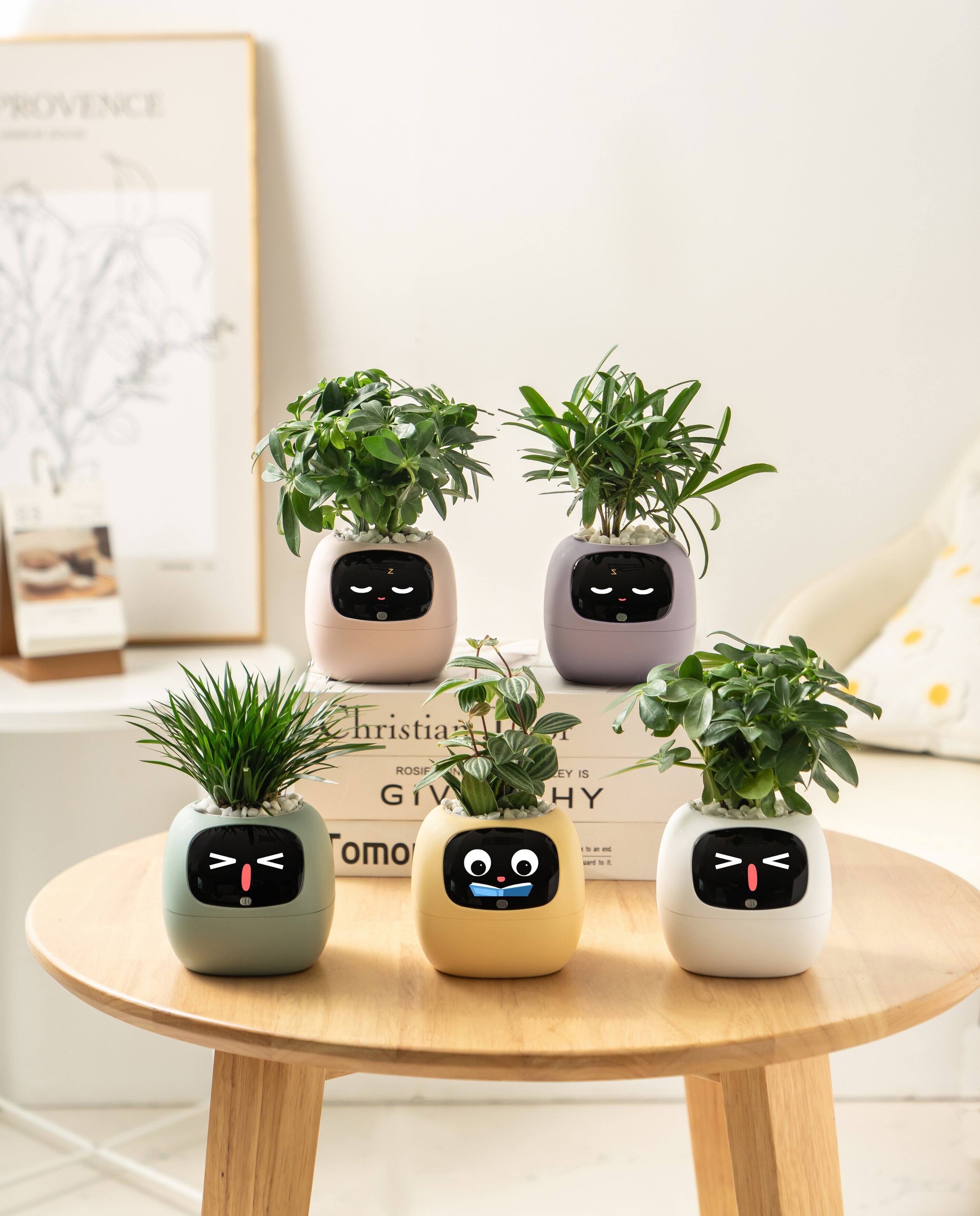 PROVENCE

Christian ROSIF GIV

HY