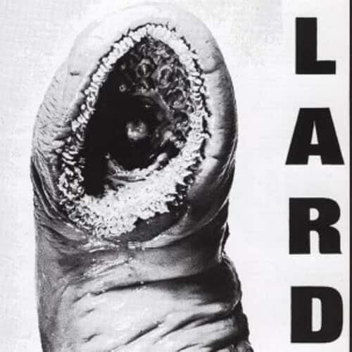 Lard - Power of Lard  - COMPACT DISCS