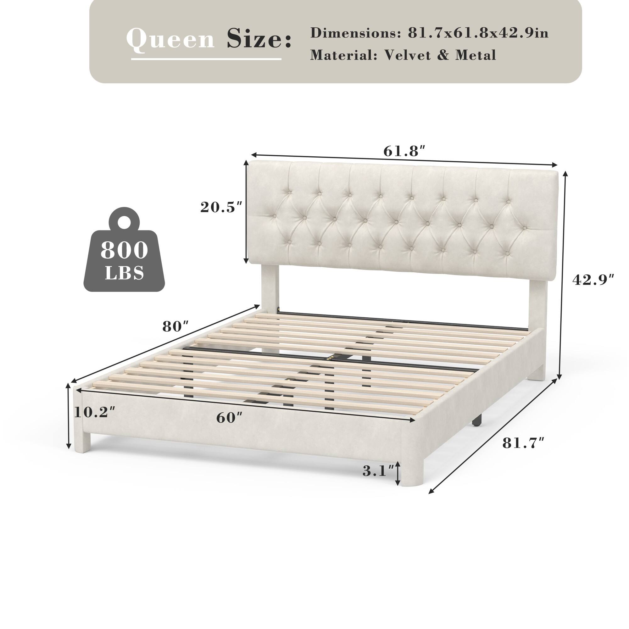 Queen Size:  
Dimensions: 81.7x61.8x42.9in  
Material: Velvet & Metal  

800 LBS  

61.8"  
20.5"  
80"  
10.2"  
60"  
81.7"  
3.1"