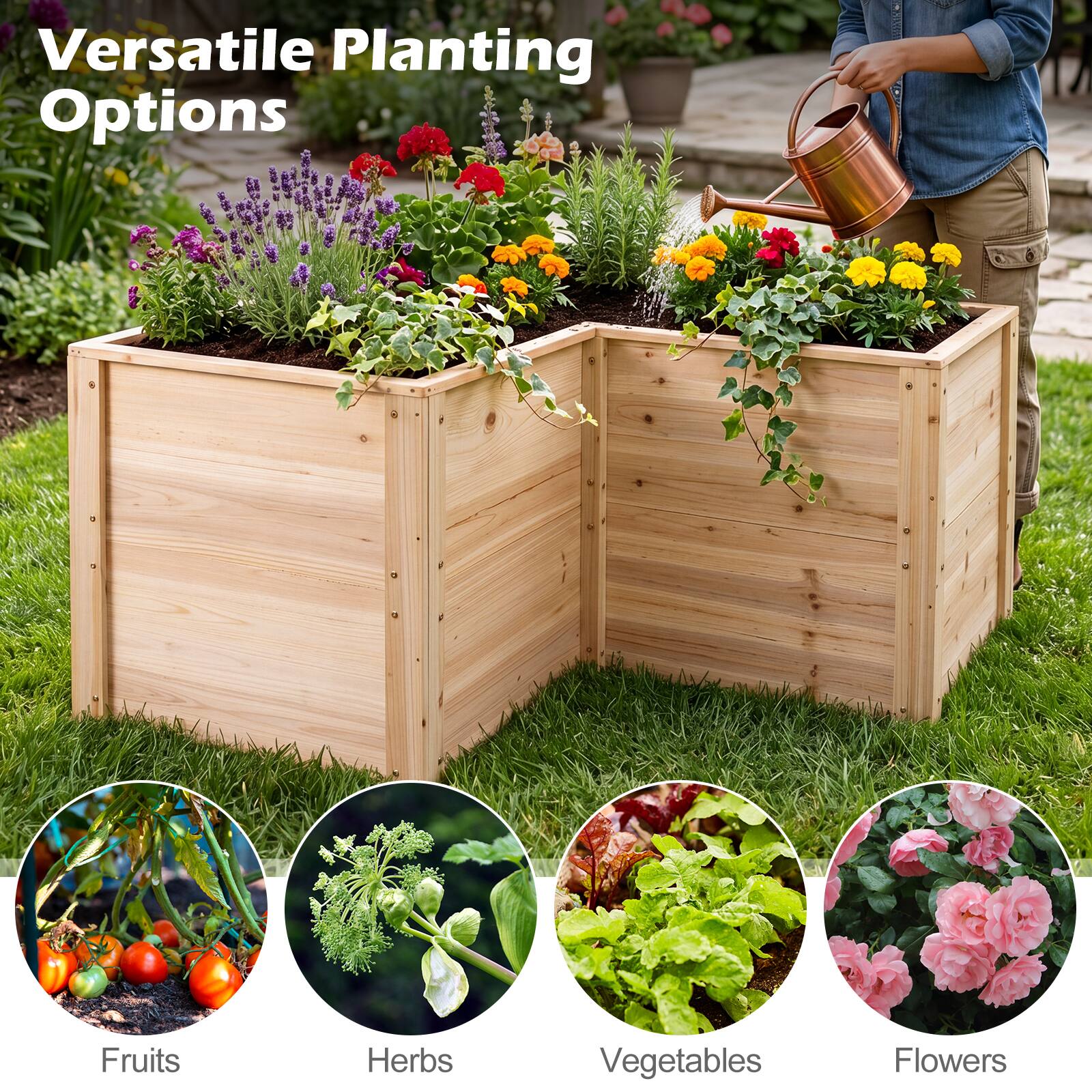 Versatile Planting Options

Fruits
Herbs
Vegetables
Flowers