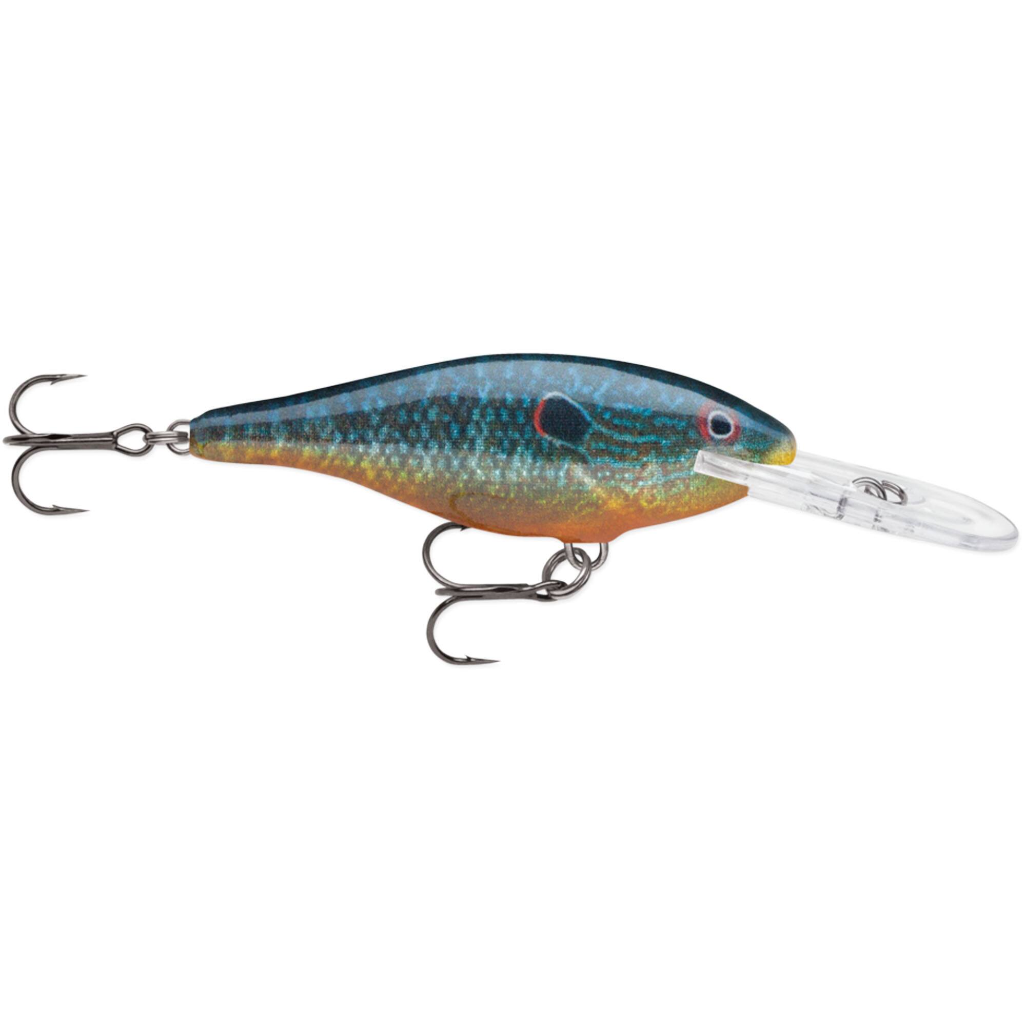Live Pumpkinseed