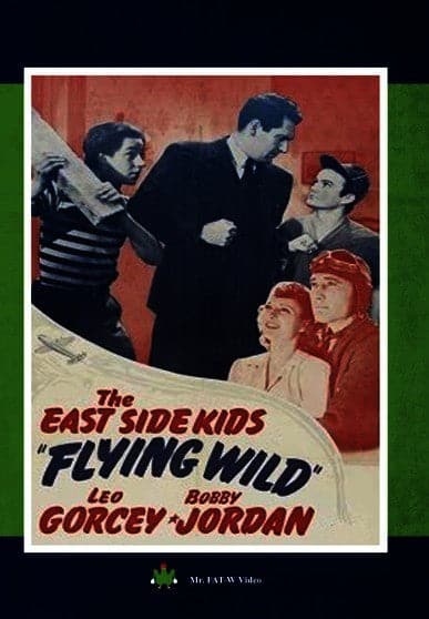 Flying Wild (MOD) (DVD Movie) price history on PriceWatchPro