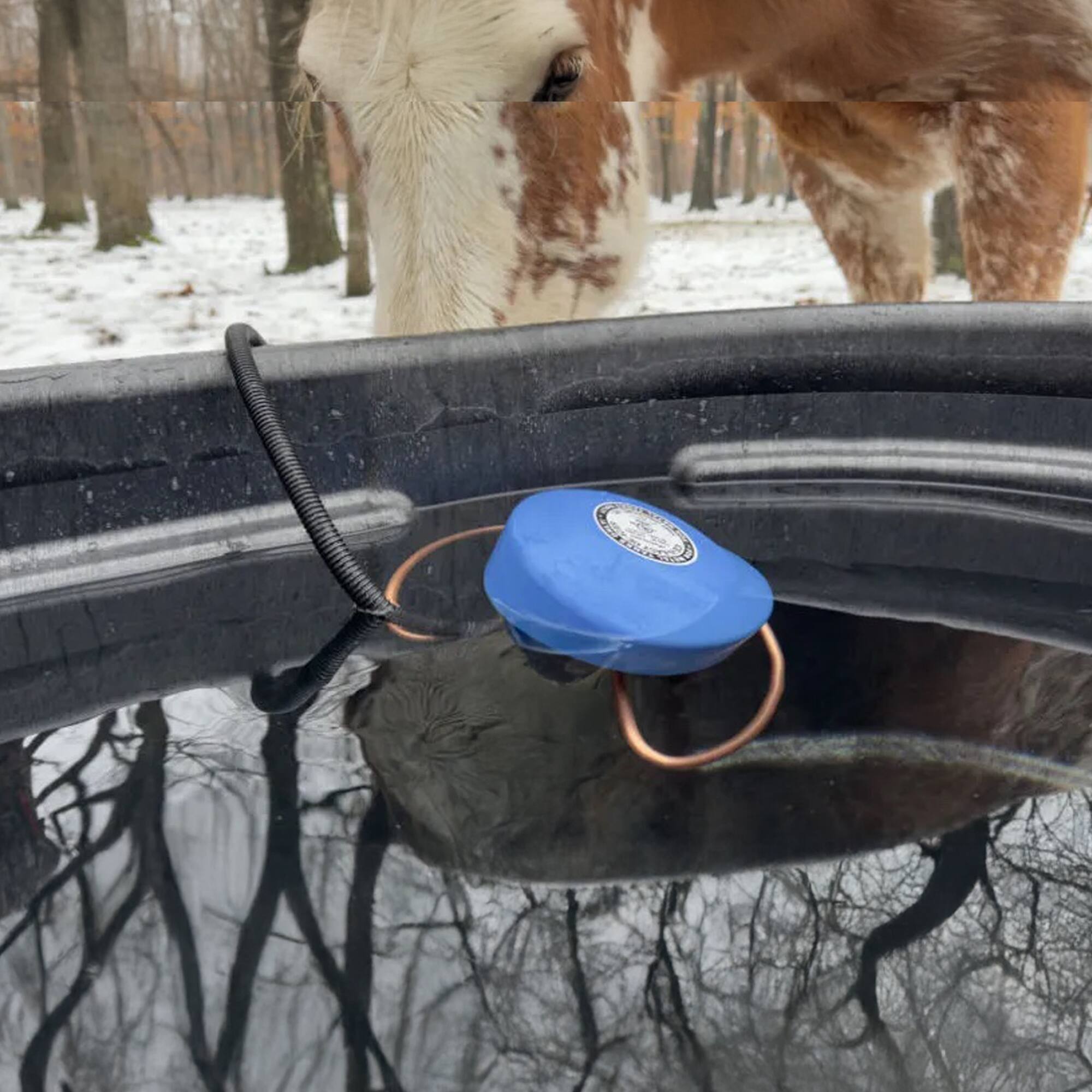 Alt View 3. Farm Innovators - Farm Innovators Economical 1000 Watt Floating Tank De-Icer for Metal Tanks, Blue - BLUE.