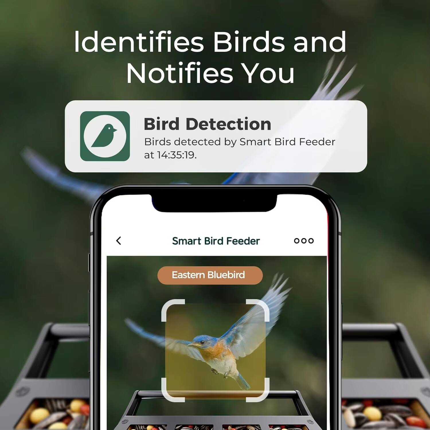Identifies Birds and Notifies You

Bird Detection  
Birds detected by Smart Bird Feeder at 14:35:19.

Smart Bird Feeder  
Eastern Bluebird