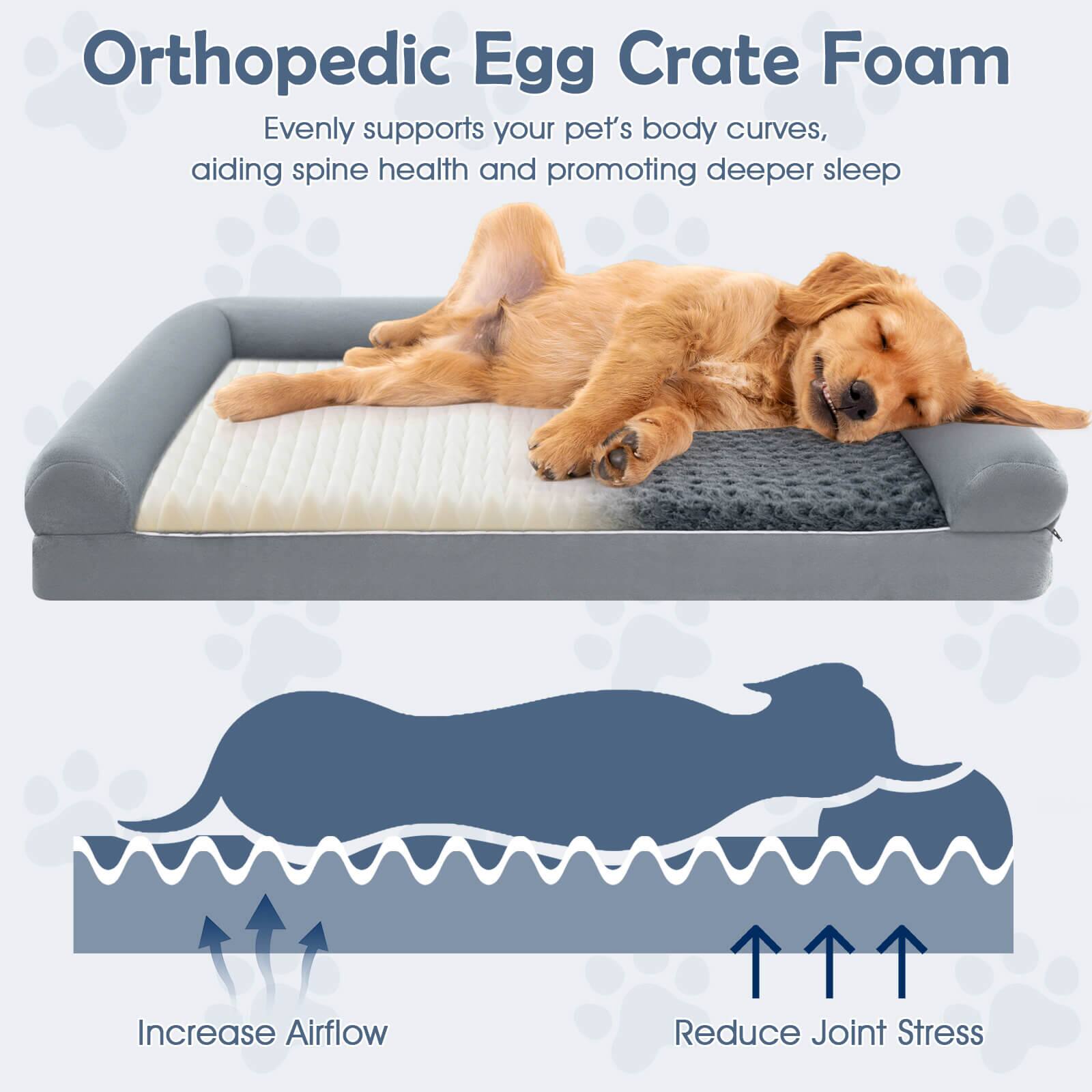 Orthopedic Egg Crate Foam

Evenly supports your pet's body curves, aiding spine health and promoting deeper sleep

Increase Airflow

Reduce Joint Stress