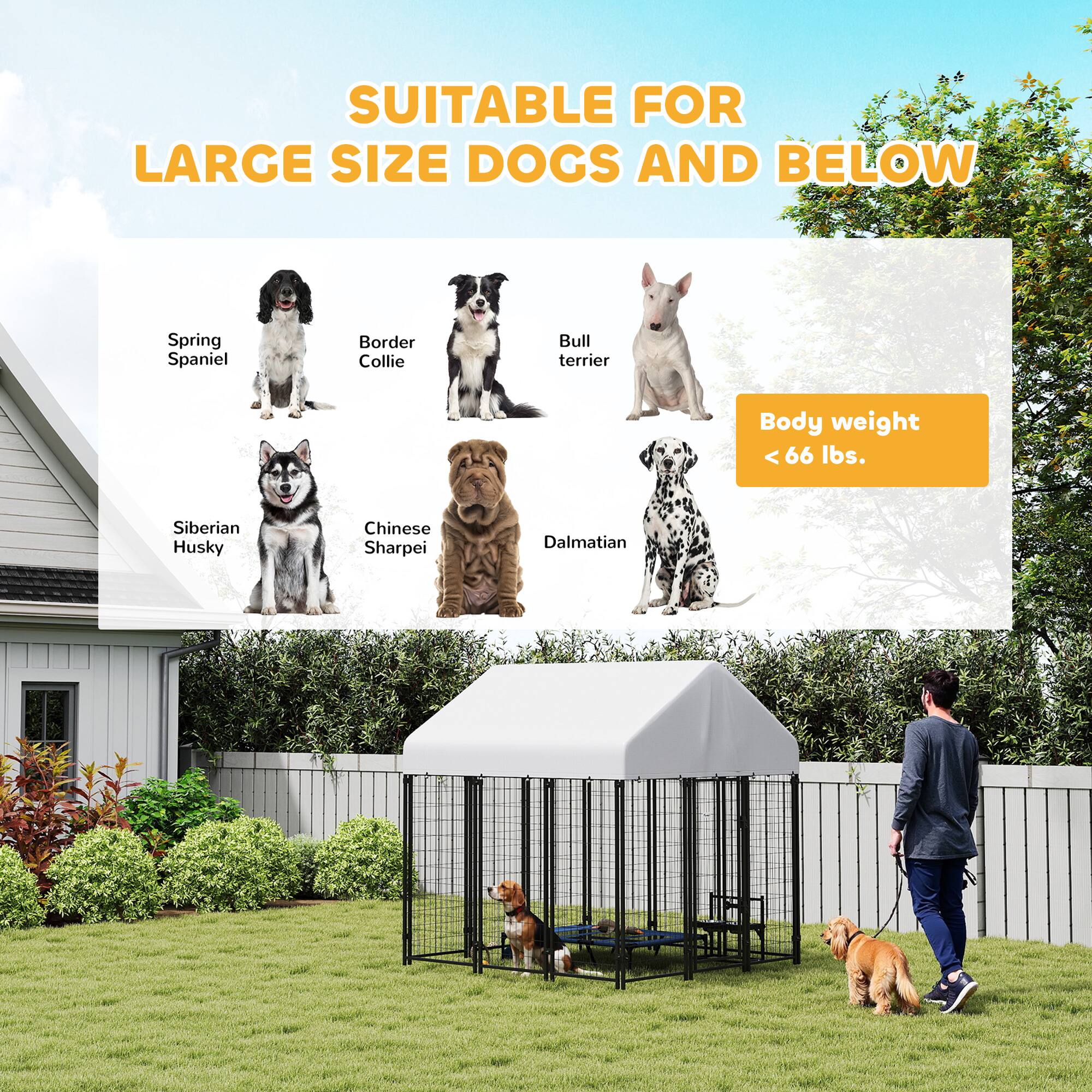 SUITABLE FOR LARGE SIZE DOGS AND BELOW

Body weight < 66 lbs.

- Spring Spaniel
- Border Collie
- Bull Terrier
- Siberian Husky
- Chinese Sharpei
- Dalmatian